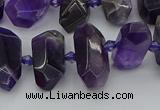 CNG5365 15.5 inches 12*16mm - 15*25mm faceted nuggets amethyst beads