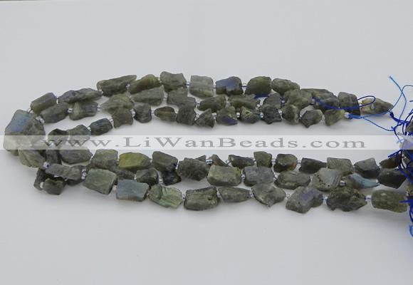 CNG5527 15.5 inches 6*8mm - 10*15mm nuggets labradorite beads