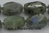 CNG5586 12*16mm - 15*25mm faceted nuggets labradorite beads