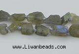 CNG5620 6*9mm - 10*16mm nuggets labradorite gemstone beads