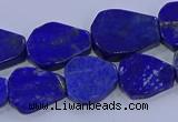 CNG5716 15.5 inches 12*16mm - 15*20mm freeform lapis lazuli beads