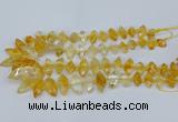 CNG5825 15.5 inches 8*18mm - 13*30mm freeform citrine beads