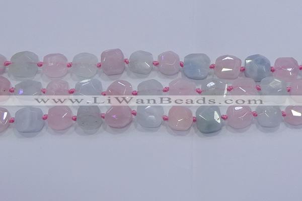 CNG5950 15.5 inches 10*12mm - 10*14mm faceted freeform morganite beads