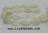 CNG6927 20*30mm - 35*45mm faceted freeform white moonstone beads