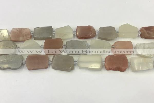 CNG6944 15.5 inches 13*18mm - 20*22mm freeform mixed moonstone beads