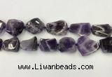 CNG6946 15.5 inches 22*25mm - 25*30mm freeform amethyst beads