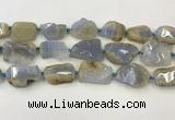 CNG6949 15.5 inches 22*30mm - 30*40mm freeform blue chalcedony beads