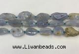 CNG6950 15.5 inches 18*20mm - 22*30mm freeform blue chalcedony beads