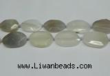 CNG7081 15.5 inches 25*35mm - 35*45mm faceted freeform agate beads