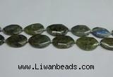 CNG7098 25*35mm - 35*45mm faceted freeform labradorite beads