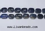 CNG7117 15.5 inches 20*25mm - 25*30mm freeform blue dumortierite beads