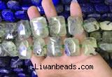 CNG7475 15.5 inches 18*25mm - 20*28mm faceted freeform prehnite beads