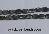 CNG7487 15.5 inches 18*25mm - 20*30mm faceted freeform labradorite beads