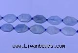 CNG7511 15.5 inches 25*35mm - 30*40mm faceted freeform aquamarine beads