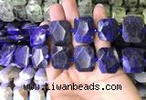 CNG7562 15.5 inches 18*25mm - 20*28mm faceted freeform sodalite beads