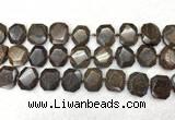 CNG7568 15.5 inches 18*25mm - 20*28mm faceted freeform bronzite beads