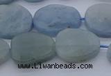 CNG7574 15.5 inches 10*14mm - 13*18mm freeform aquamarine beads