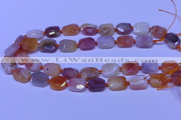 CNG7621 12*16mm - 13*18mm faceted freeform red botswana agate beads