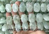 CNG7753 13*18mm - 15*25mm faceted freeform light prehnite beads