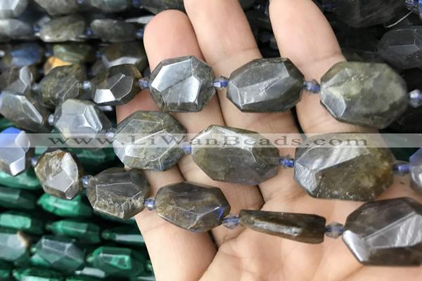 CNG7819 15.5 inches 13*18mm - 18*25mm faceted freeform labradorite beads