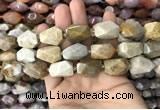 CNG7843 12*16mm - 15*25mm faceted nuggets fossil coral beads