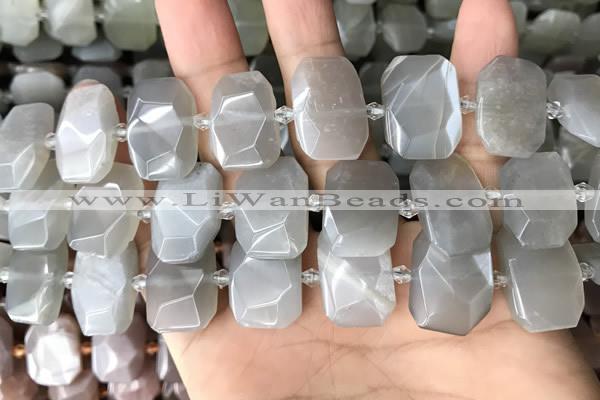 CNG7882 13*18mm - 15*25mm faceted freeform moonstone beads