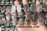 CNG7886 13*18mm - 15*25mm faceted freeform moonstone beads