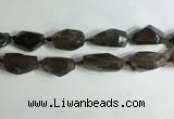 CNG7955 15.5 inches 15*25mm - 20*40mm nuggets smoky quartz beads