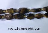 CNG7963 15.5 inches 15*25mm - 20*40mm nuggets yellow tiger eye beads