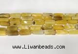 CNG8396 15.5 inches 8*18mm - 10*25mm freeform agate beads