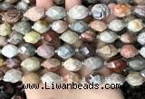 CNG8526 15.5 inches 10*14mm - 12*16mm faceted nuggets fossil coral beads