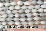 CNG8530 15.5 inches 8*9mm - 9*11mm faceted nuggets moonstone beads