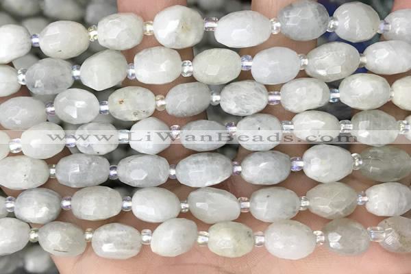 CNG8530 15.5 inches 8*9mm - 9*11mm faceted nuggets moonstone beads