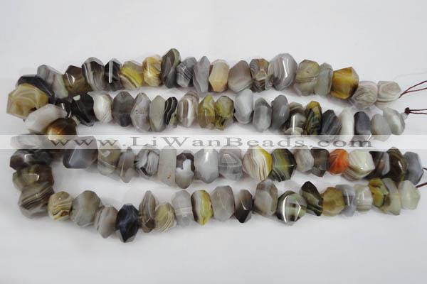 CNG855 15.5 inches 7*13mm – 10*20mm faceted nuggets Botswana agate beads