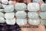 CNG8555 22*30mm - 25*35mm faceted freeform amazonite beads