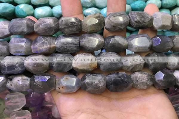 CNG8584 13*18mm - 15*20mm faceted nuggets labradorite beads