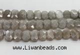 CNG8615 10*13mm - 12*16mm faceted freeform moonstone beads