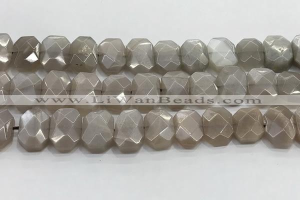 CNG8615 10*13mm - 12*16mm faceted freeform moonstone beads