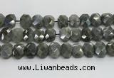 CNG8622 10*13mm - 12*16mm faceted freeform labradorite beads