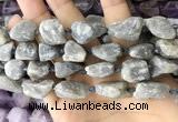 CNG8661 15.5 inches 12*16mm - 18*25mm nuggets labradorite beads