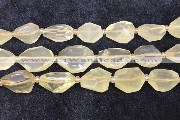 CNG8685 16*23mm - 25*30mm faceted freeform lemon quartz beads