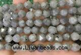 CNG8717 15.5 inches 10mm faceted nuggets labradorite gemstone beads