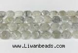 CNG8806 15.5 inches 16mm - 20mm faceted freeform moonstone beads