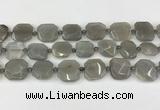 CNG8809 15.5 inches 16mm - 20mm faceted freeform moonstone beads