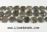 CNG8810 15.5 inches 16mm - 20mm faceted freeform moonstone beads