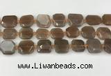 CNG8811 15.5 inches 16mm - 20mm faceted freeform moonstone beads