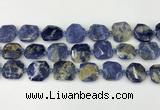 CNG8819 15.5 inches 16mm - 20mm faceted freeform sodalite beads