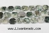 CNG8820 15.5 inches 16mm - 20mm faceted freeform jade beads