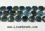 CNG8821 15.5 inches 16mm - 20mm faceted freeform apatite beads