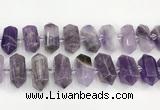 CNG8916 15.5 inches 10*25mm - 15*30mm faceted nuggets amethyst beads